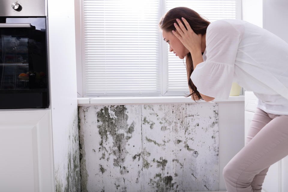 Side View Of A Young Woman Looking At Mold On Wall