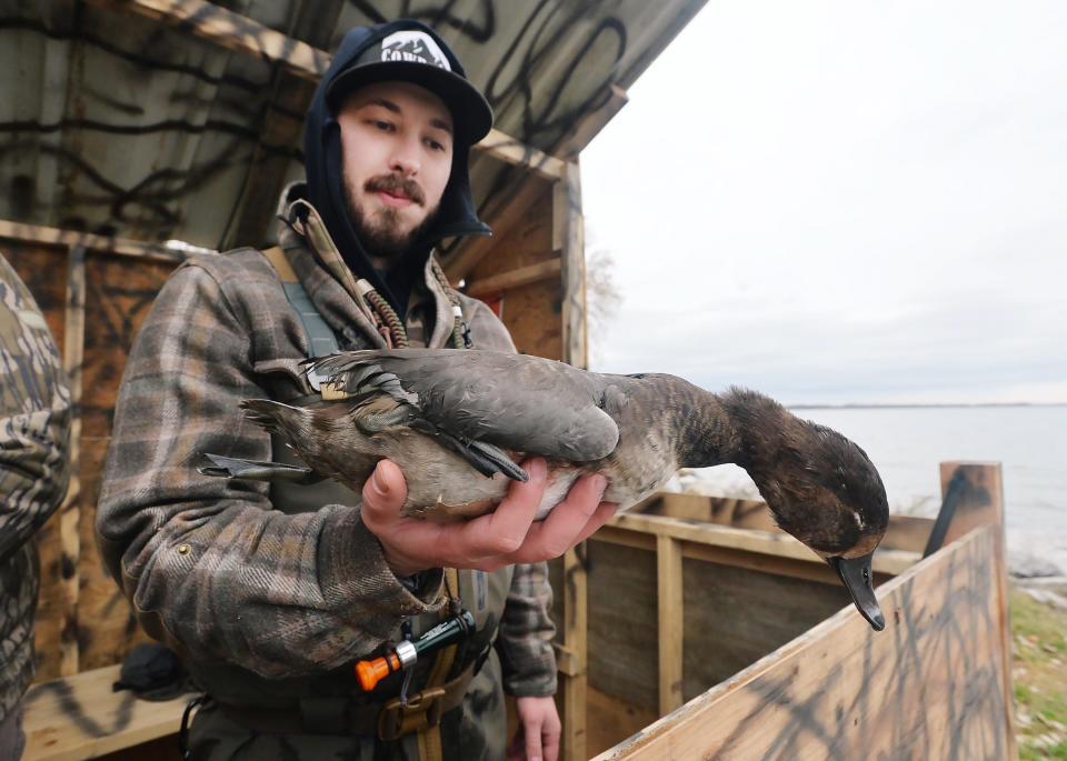 Jason Peterson, 27, holds a redhead duck he shot earlier from a blind overlooking Presque Isle Bay.