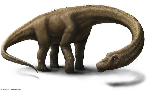 An artist's representation of Dreadnoughtus schrani, a dinosaur researchers discovered in Patagonia in 2005.