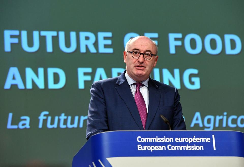 Der irische EU-Kommissar Phil Hogan (Getty)