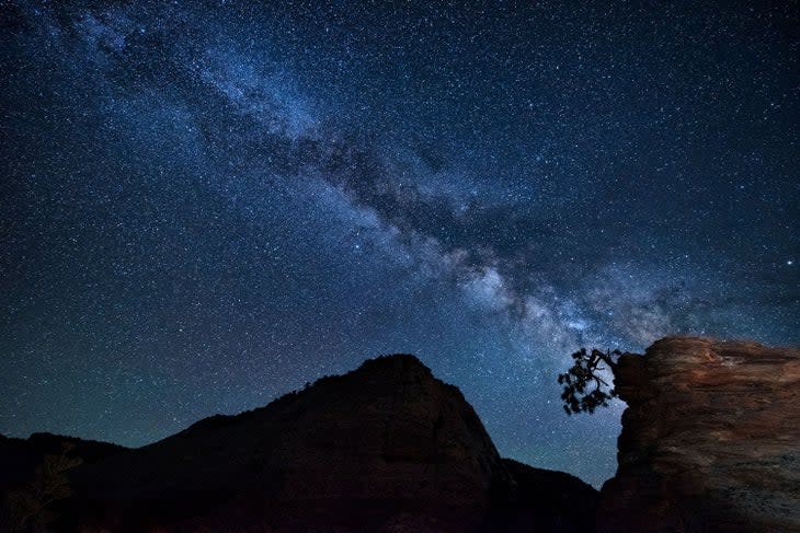 The Milky Way sprouts from Origami Tree on Checkerboard Mesa in Zion National Park.