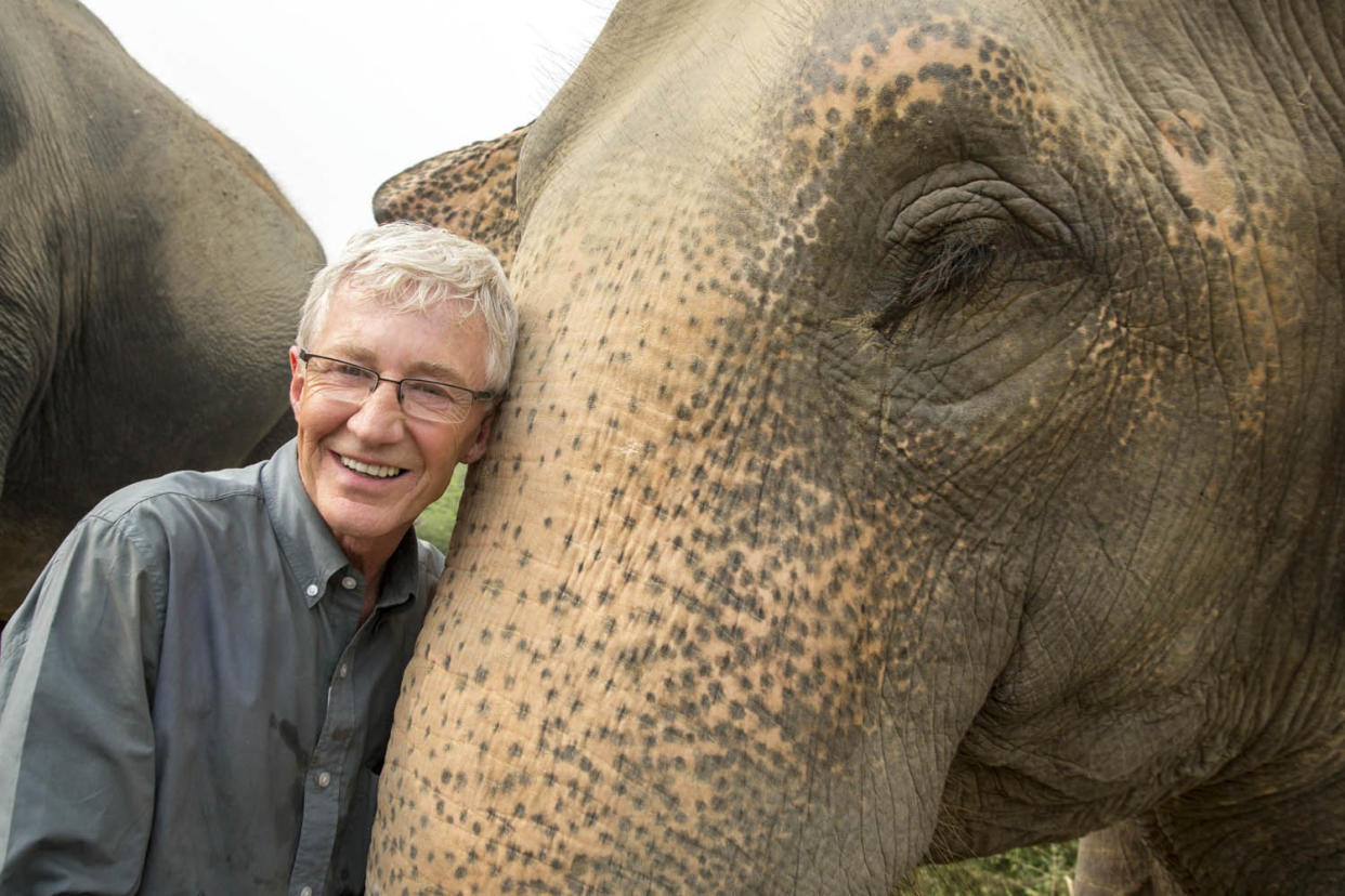 Animal lover: Paul O'Grady visits animal sanctuaries in India: ITV