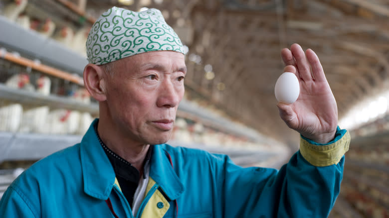 worker examining egg
