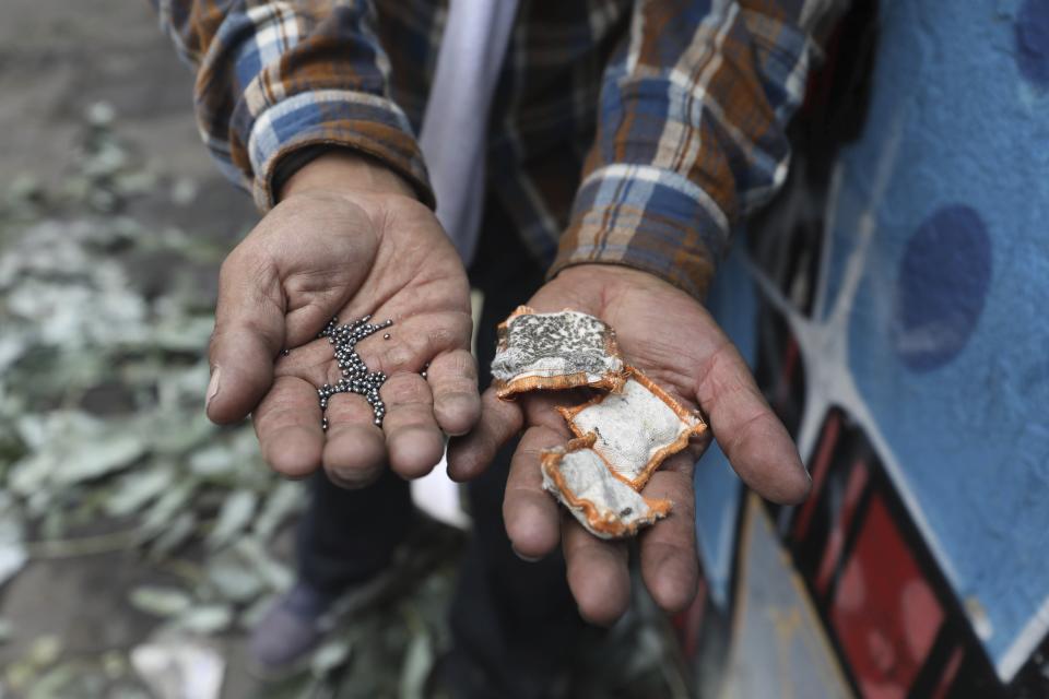 An anti-government demonstrator shows bird shot and bean bags fired by police shotguns during clashes with police in Quito, Ecuador, Saturday, Oct. 12, 2019. Protests, which began when President Lenin Moreno's decision to cut subsidies led to a sharp increase in fuel prices, have persisted for days. (AP Photo/Fernando Vergara)