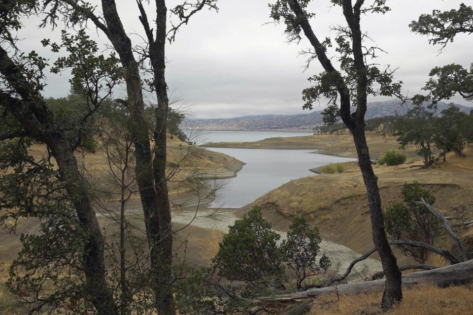 Trees frame a lake under cloudy skies with brown vegetation along the shoreline