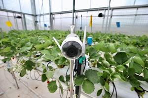 Monitoring equipment installed in the Smart Agri Competition greenhouse to keep track of plant growth.