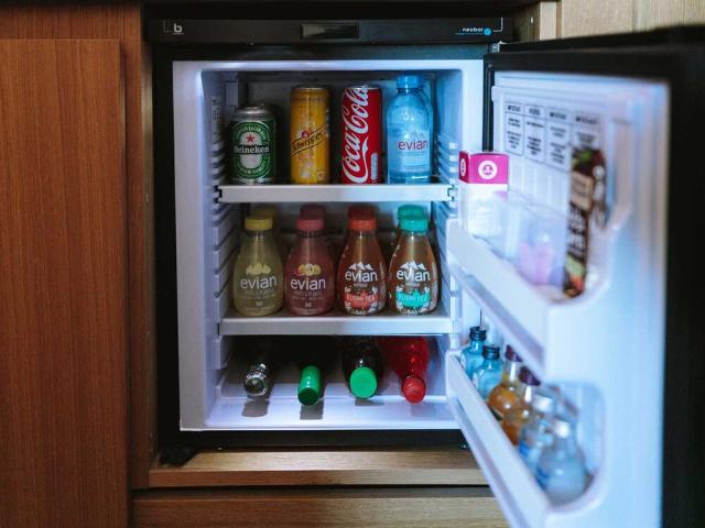 100 Can Mini Fridge With Adjustable, And Removable Shelves