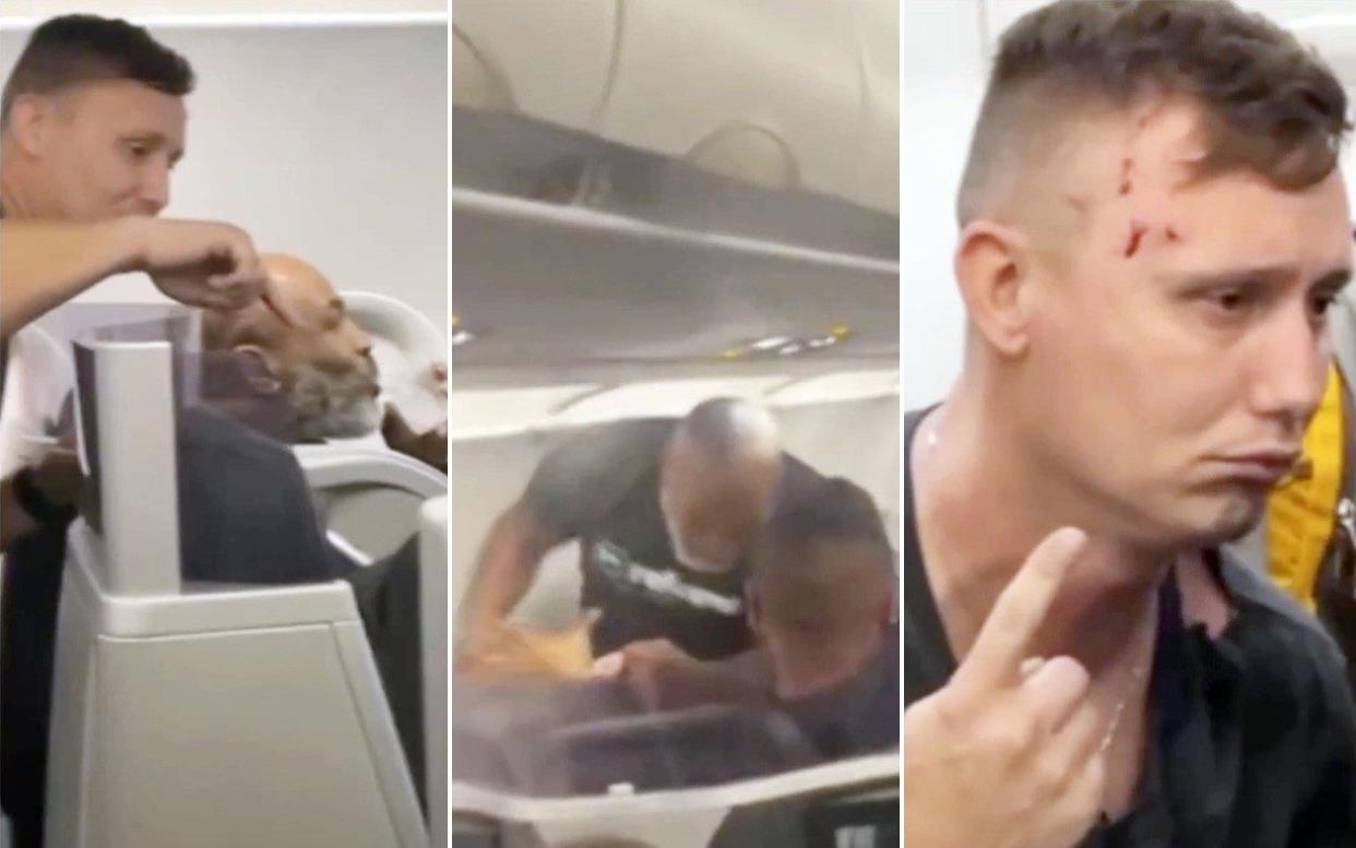Mike Tyson fight on plane