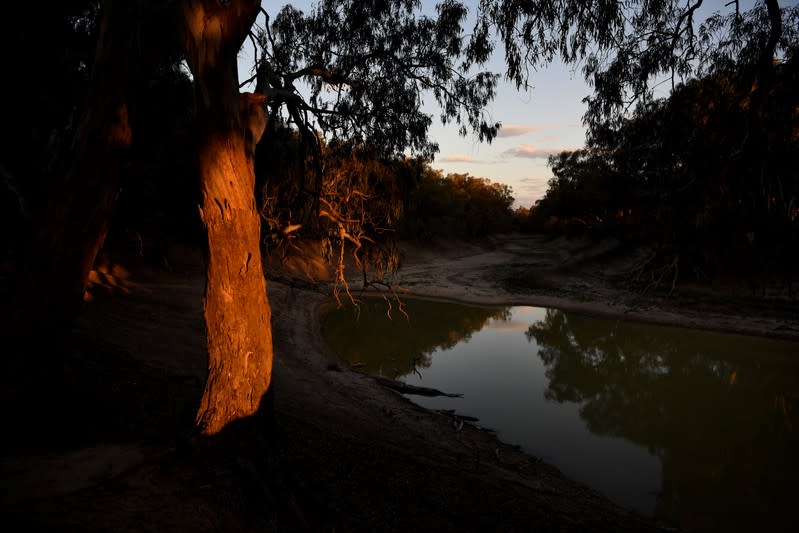 The Wider Image: Thirst turns to anger as Australia's mighty river runs dry