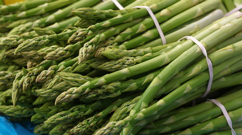 tied bundles of asparagus