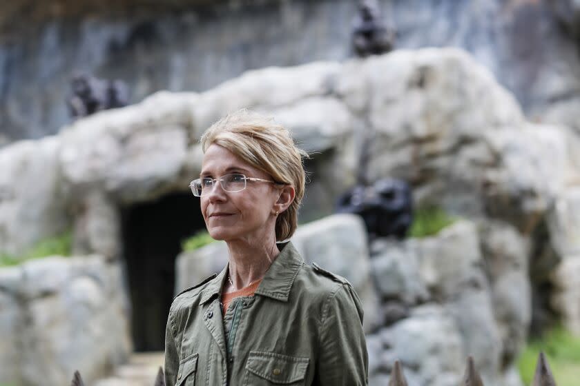 Los Angeles, CA, Tuesday, May 17, 2022 Barbara Natterson-Horowitz, a UCLA researcher who studies animals to gain insights into human biology, visits the chimpanzee enclosure at the LA Zoo. Since so much medical research is focused on men, she has recently turned her attention to female animals to see what they might teach us about health issues affecting women. (Robert Gauthier/Los Angeles Times)