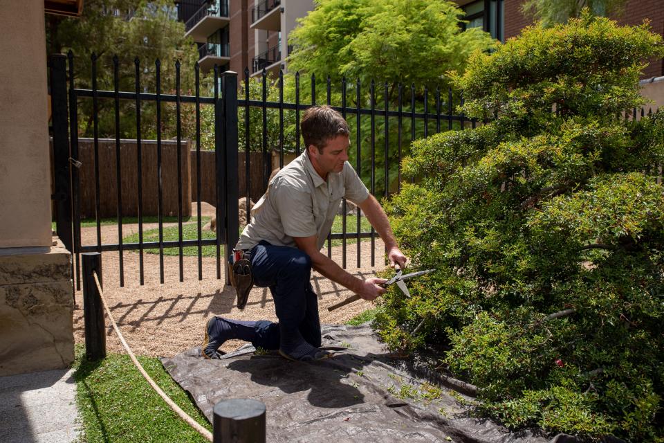 Ben Schrepf, a curator at the Japanese Garden in Phoenix, tends to a small tree outside the venue on July 21, 2022. When working in extreme temperatures, Schrepf drinks water mixed with electrolytes for quick rehydration.