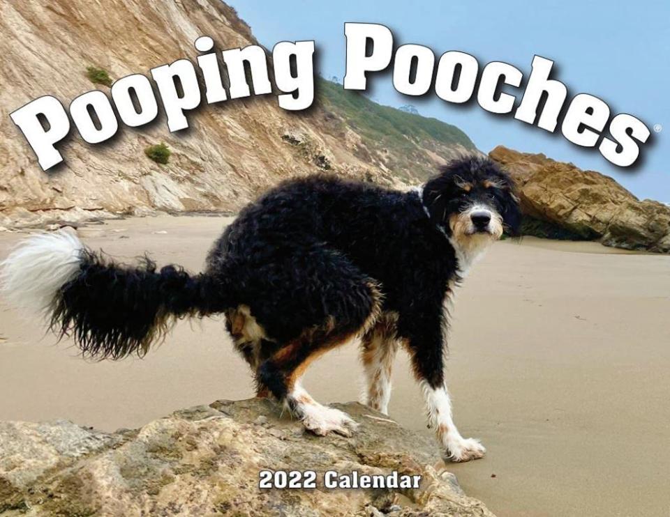 Credit: <a href="https://www.amazon.com/Pooping-Pooches-White-Elephant-Calendar/dp/B0754Y9GNH?crid=YY64UU5Z2C0E&keywords=gag+gifts+for+adults&qid=1639689761&sprefix=gag+gifts%2Caps%2C100&sr=8-9&linkCode=ll1&tag=intheknowsite-20&linkId=cf9dda29a5a9b743888d1579447b8c8f&language=en_US&ref_=as_li_ss_tl" rel="nofollow noopener" target="_blank" data-ylk="slk:Amazon;elm:context_link;itc:0;sec:content-canvas" class="link ">Amazon</a>