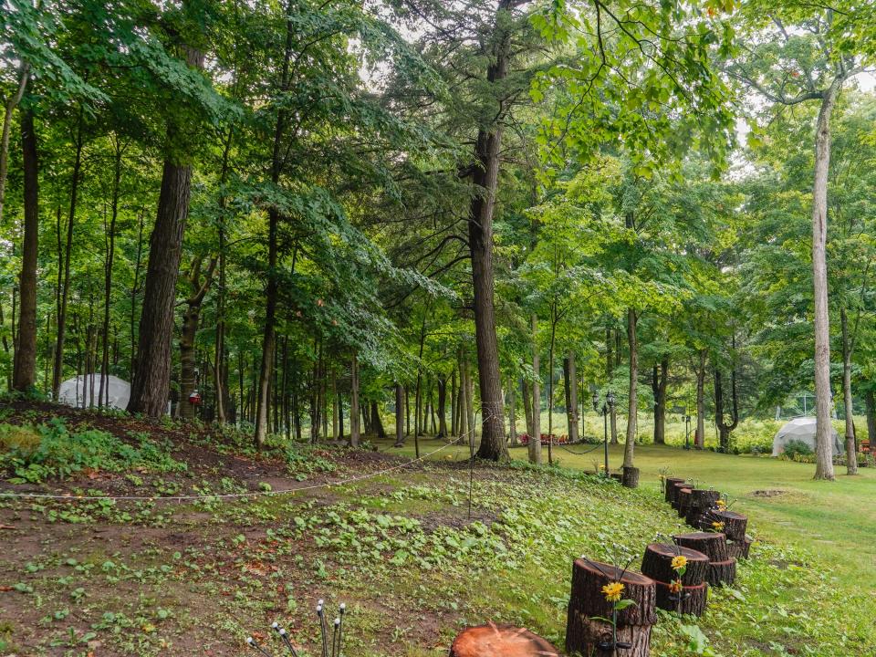 Trees surrounding glamping domes in Canada