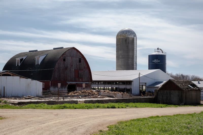 Dairy farmer Brent Pollard in Rockford