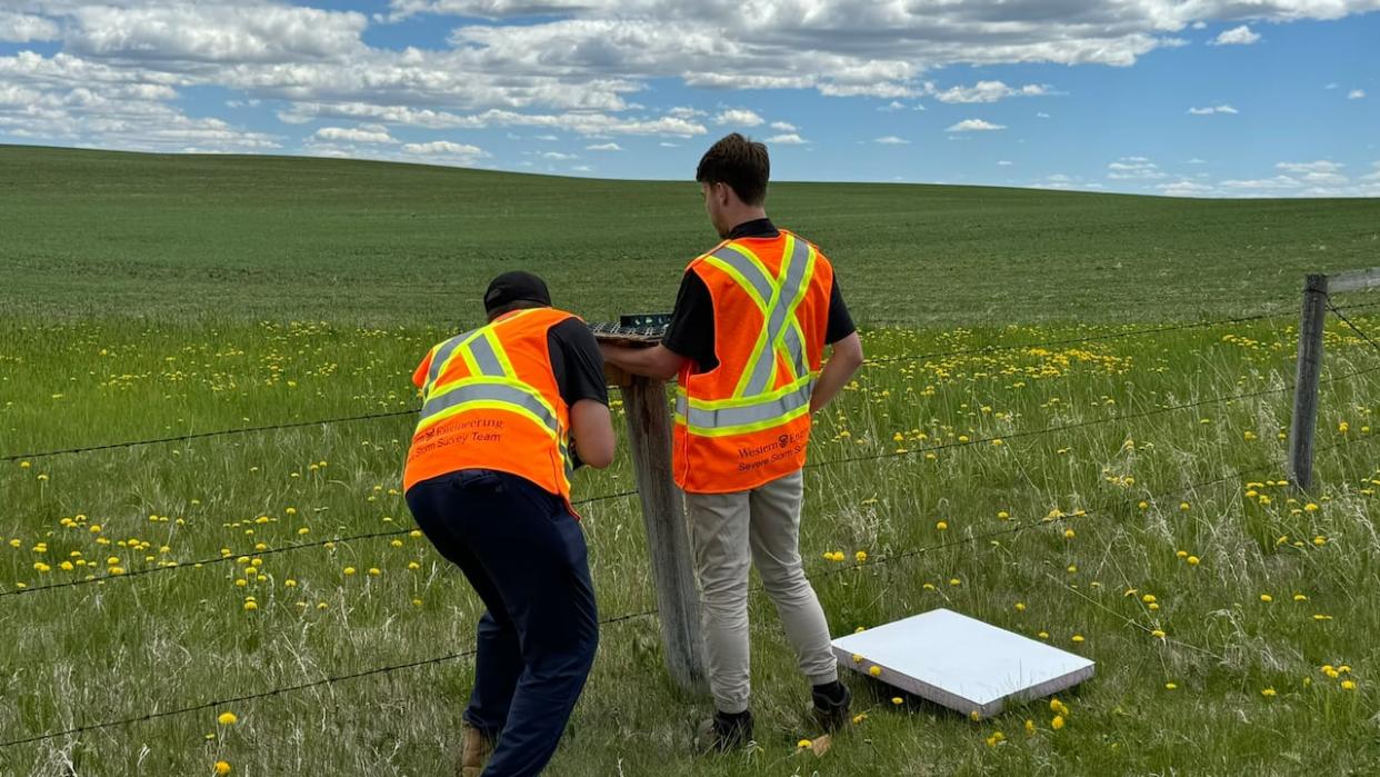 Researchers from Western University are measuring hail damage in southern Alberta with tools like this hail pad, lower right. (@NHP_field/X - image credit)