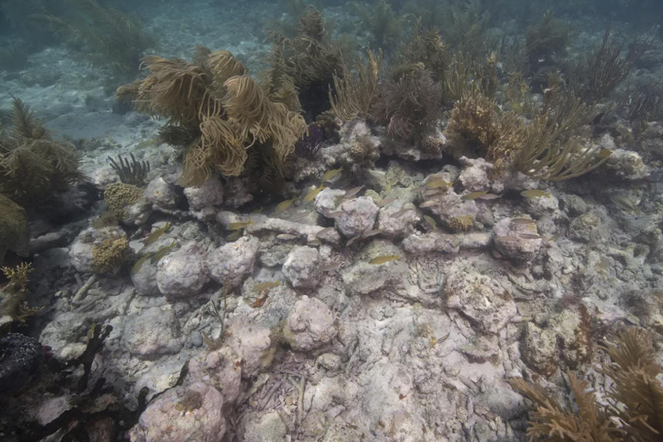 In this undated photo provided by the National Park Service, concreted cannonballs on the seafloor are shown after they were found during recent archeological survey in Dry Tortugas National Park, Fla. National Park Service archeologists identified the archeological remains belonging to the HMS Tyger, an 18th century British warship. The Fourth-Rate, 50-gun frigate sunk in 1742 after it ran aground on the reefs of the Dry Tortugas while on patrol in the War of Jenkins Ear between Britain and Spain. While the remains of the historic shipwreck were first located in 1993, new research has uncovered definitive evidence. (Brett Seymour/National Park Service via AP)