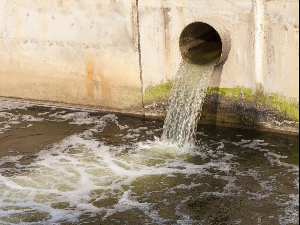 Dirty water being discharged into a river (Shutterstock)