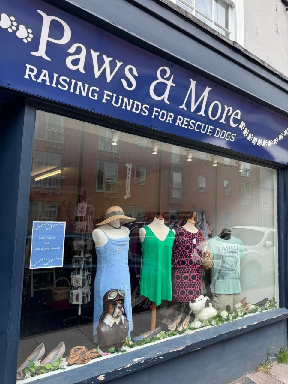 Salisbury Journal: Paws and More