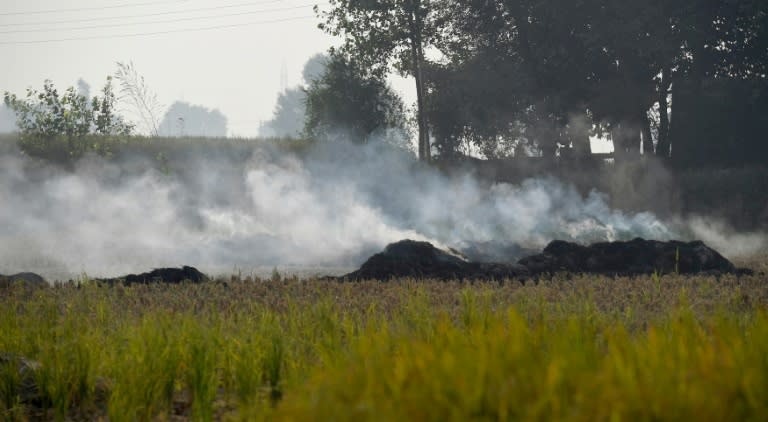 Nearly 35 million tonnes of post-harvest stubble is burnt annually in Haryana and Punjab, two predominantly rural states near Delhi, despite a nationwide ban on the practice since 2015