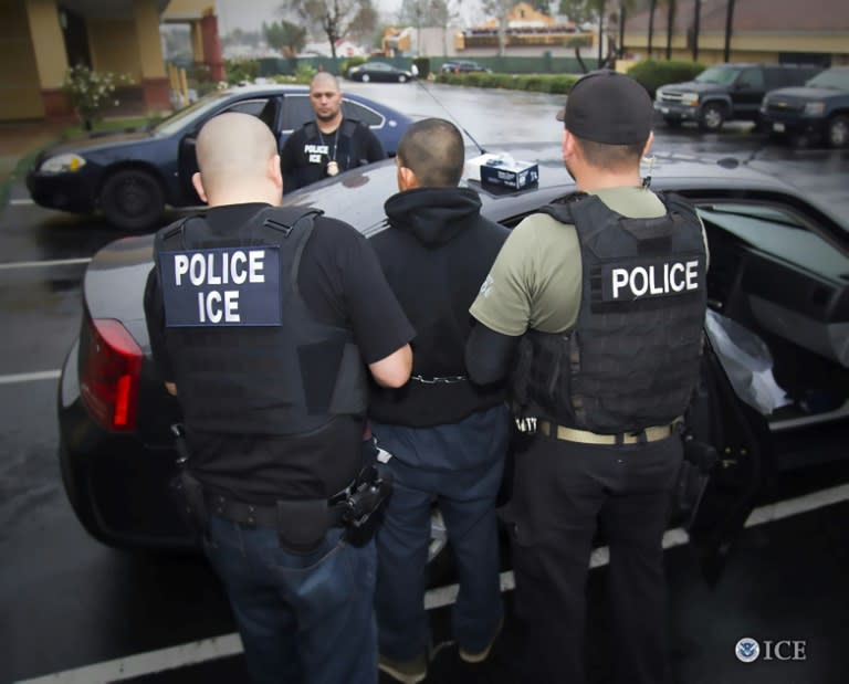 The US immigration authorities have arrested hundreds of people across the country as part of President Donald Trump's pledge to crack down on illegal immigrants