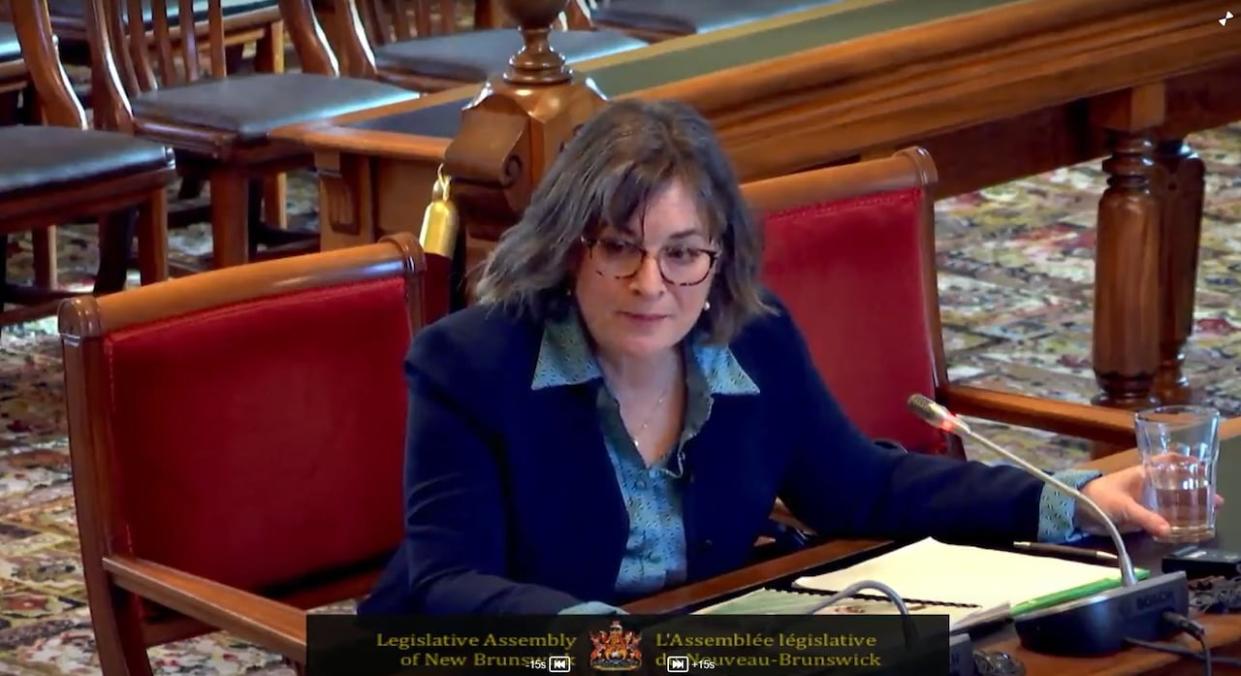 Michèle Pelletier, New Brunswick's consumer advocate for insurance, told MLAs during a committee appearance Friday that she would welcome a restriction on the use of credit scores in setting auto insurance rates. (Legislative Assembly of New Brunswick - image credit)