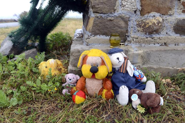 A photo taken on September 9, 2014 shows sof toys places at a monument created at the Malaysia Airlines Flight MH17 crash site in the village of Hrabove (Grabovo), some 80km east of Donetsk