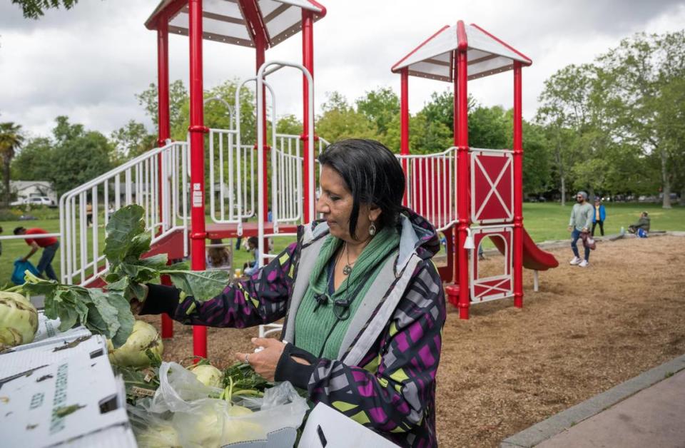Longtime Davis resident Latika Jain shops for produce at the Capay Organic stand at the Davis Farmers Market on Saturday, May 6, 2023, in Central Park. She emphasized the community’s resilience in dealing with tragedy.