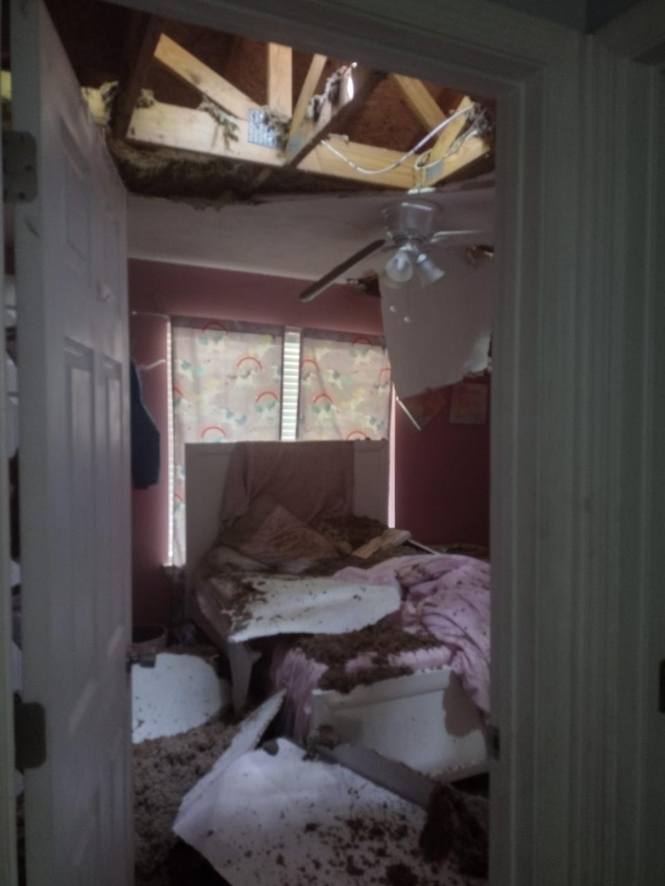 David and Carla Smith's home was covered with an "uncountable number of trees," Friday morning after a tornado blew through her neighborhood. She said insurance adjustors told her the repair time could take more than a year, and the home was considered a "catastrophic loss."
(Credit: Provided by Carla Smith)