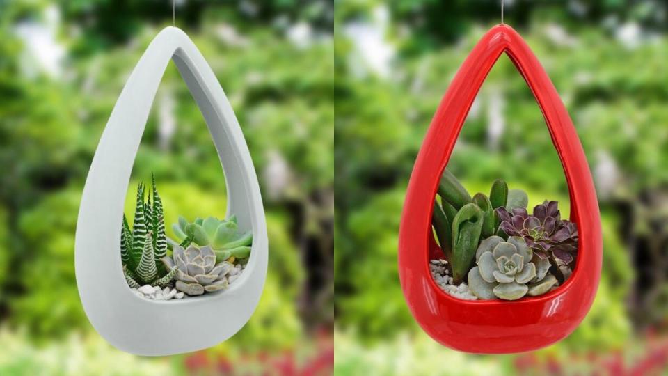 Best Wayfair gifts: Hanging planter