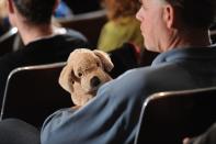 NEWTOWN, CT - DECEMBER 16: A man holds a stuffed dog before U.S. President Barack Obama speaks at an interfaith vigil for the shooting victims from Sandy Hook Elementary School on December 16, 2012 at Newtown High School in Newtown, Connecticut. Twenty-six people were shot dead, including twenty children, after a gunman identified as Adam Lanza opened fire at Sandy Hook Elementary School. Lanza also reportedly had committed suicide at the scene. A 28th person, believed to be Nancy Lanza, found dead in a house in town, was also believed to have been shot by Adam Lanza. (Photo by Olivier Douliery-Pool/Getty Images)