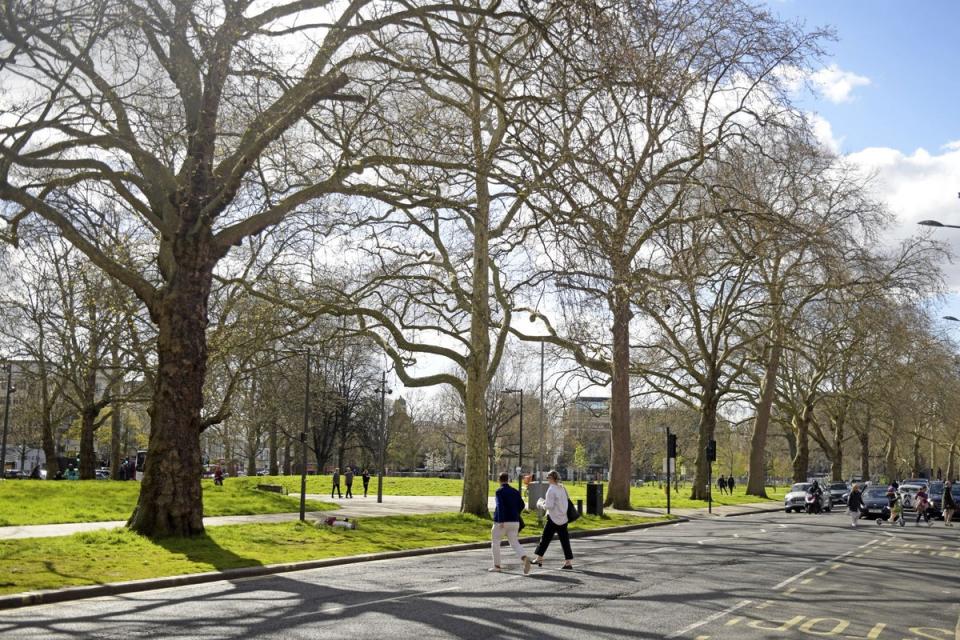 Shepherd's Bush Green offers open space near the roundabout and station (Daniel Lynch)