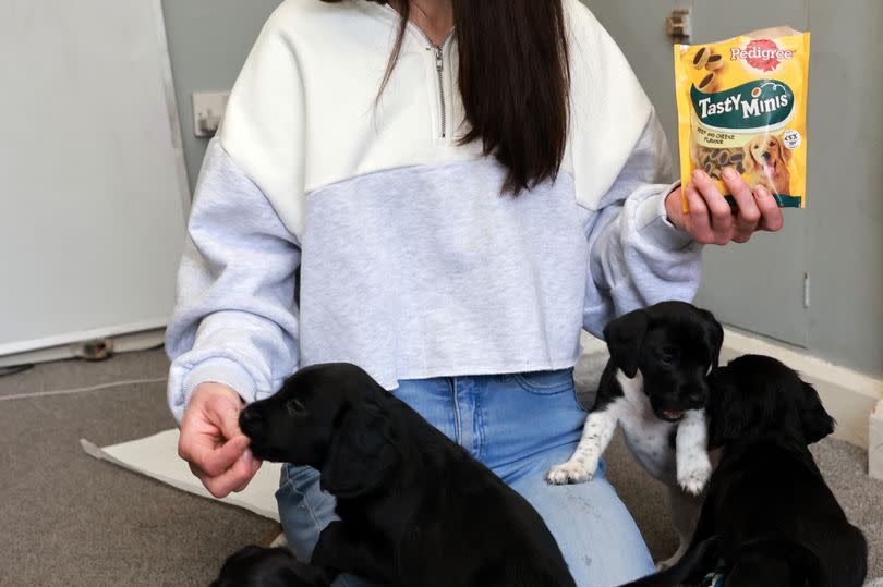 Jennifer Logan with the puppies that survived a fire at her home in Greenside.