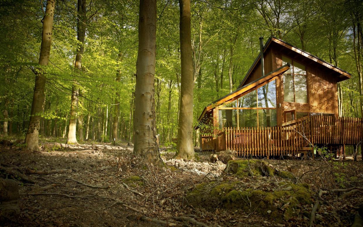 Blackwood Forest in Hampshire spans 667 acres that can be explored