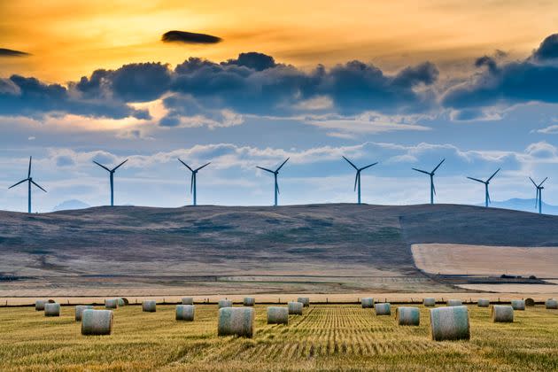 Windfarm in rural Alberta Canada (Photo: Don White via Getty Images)