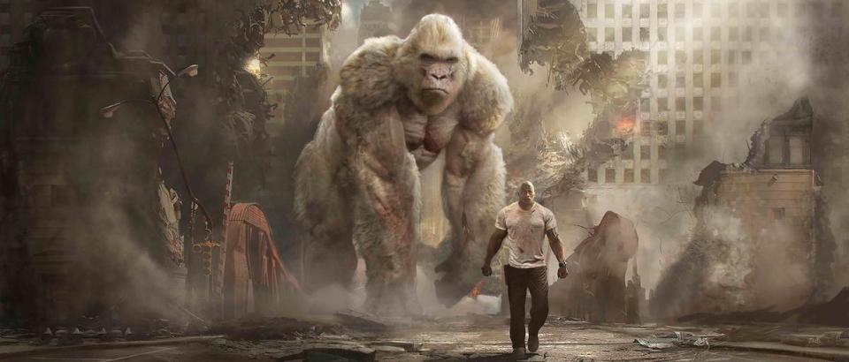 電影宣傳標語是「巨石對巨獸」，來看巨石強森如何跟大猩猩一同奮戰吧！（華納兄弟提供）