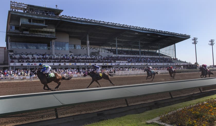 LOS ALAMITOS, CA - JULY 3, 2014: Thoroughbred horses cross the finish line in front of the grandstands.