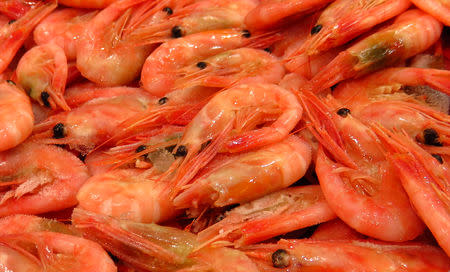 FILE PHOTO: Prawns on display at Billingsgate Market in London, Britain, July 6, 2016. Picture taken July 6, 2016. REUTERS/Martinne Geller/File Photo