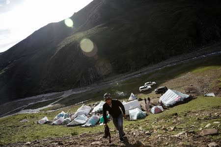 The Wider Image: As Chinese mountains get hotter, 'cure-all' fungus dwindles