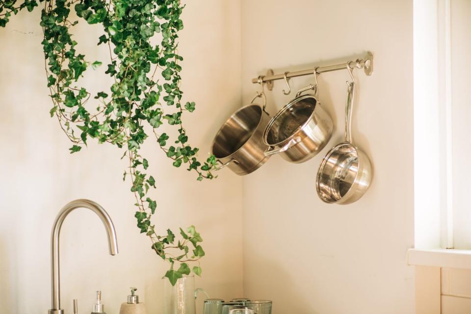 stainless steel pans hanging on kitchen wall next to plant
