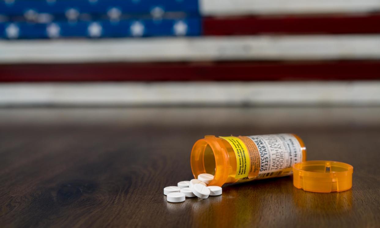 <span>Public nuisance laws have been used to make drug manufacturers and distributors pay for their part in the deadly opioids crisis.</span><span>Photograph: BackyardProduction/Getty Images/iStockphoto</span>