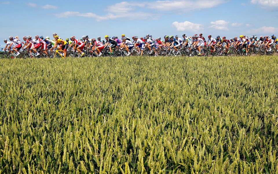 The peloton passing through wheat fields during stage 4 of a previous race - Getty