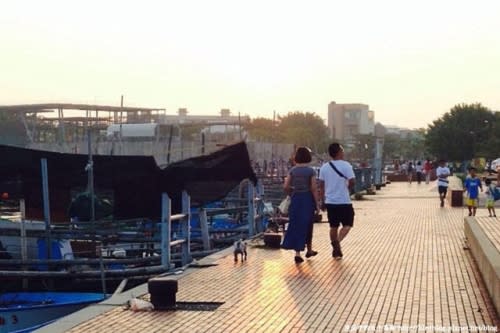 台南一日遊。神隱少女的奇妙旅程-微風山谷的湯婆婆屋子 & 隱田樹屋 & 安平龍貓車【鳥夫人】