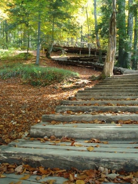 A walking trail in Plitvice Lakes National Park in Croatia