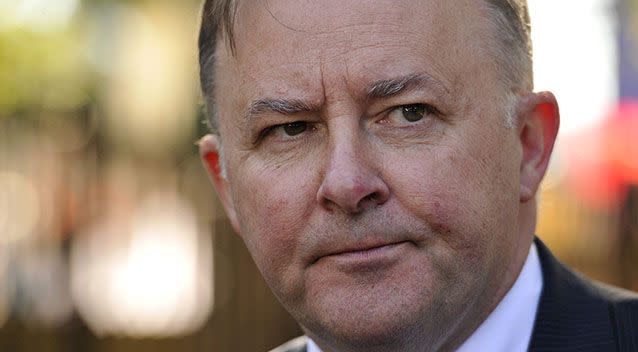 Anthony Albanese. Source: AAP/Joel Carrett