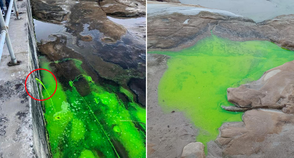 Green water Cronulla Sydney. 