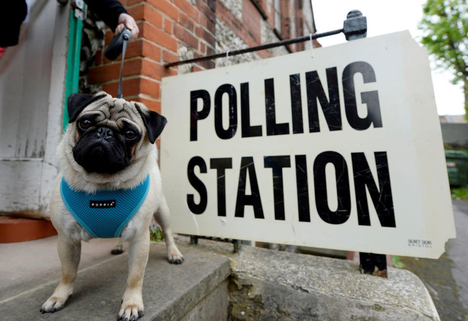 <p>A voter arrives with a dog at a polling station in Brighton, Britain June 8, 2017. (Photo: Adam Holt/Reuters) </p>