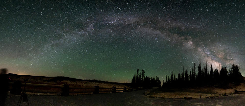 the milky way arches across the star-filled sky with the silhouettes of trees below.