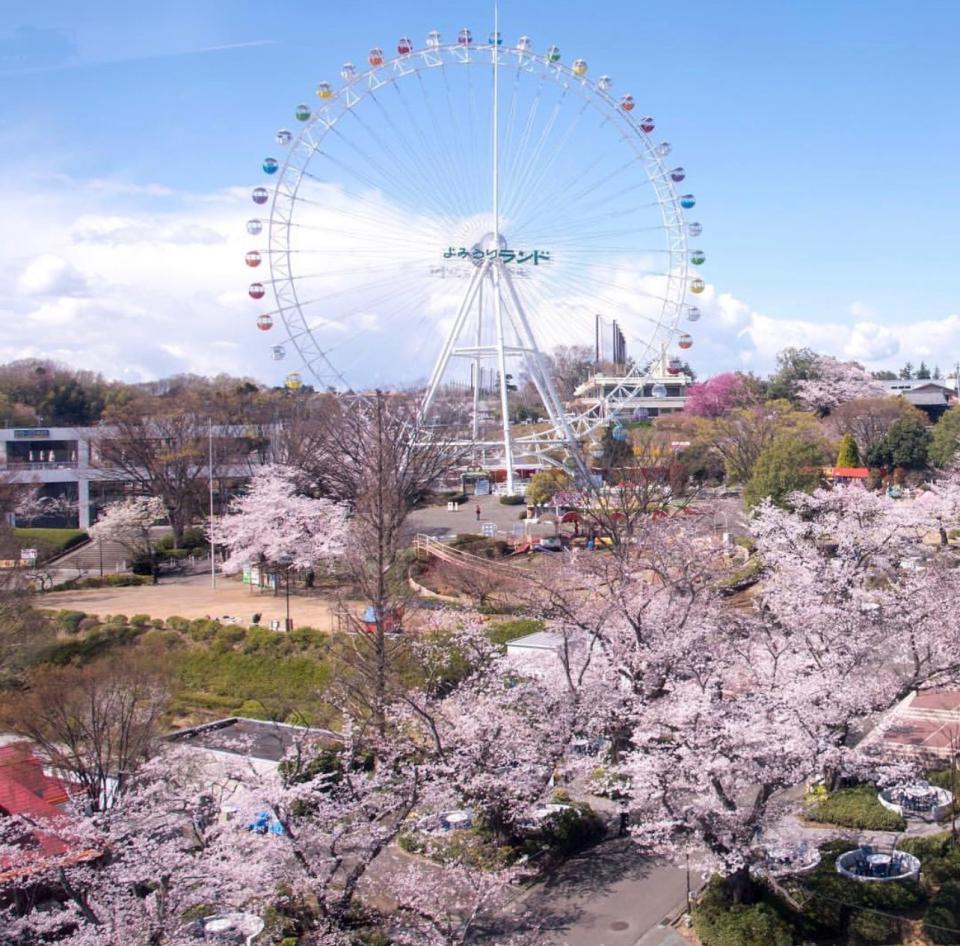 日本櫻花2024｜4大賞櫻特色景點推介！東京公園櫻花樹雲霄飛車/腳踏天鵝船/120米櫻花滑梯/人力迷你小纜車