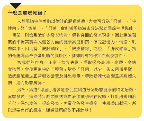 什麼是腸皮軸線？ (來源：《吃出逆齡好膚質》／商業周刊出版)
